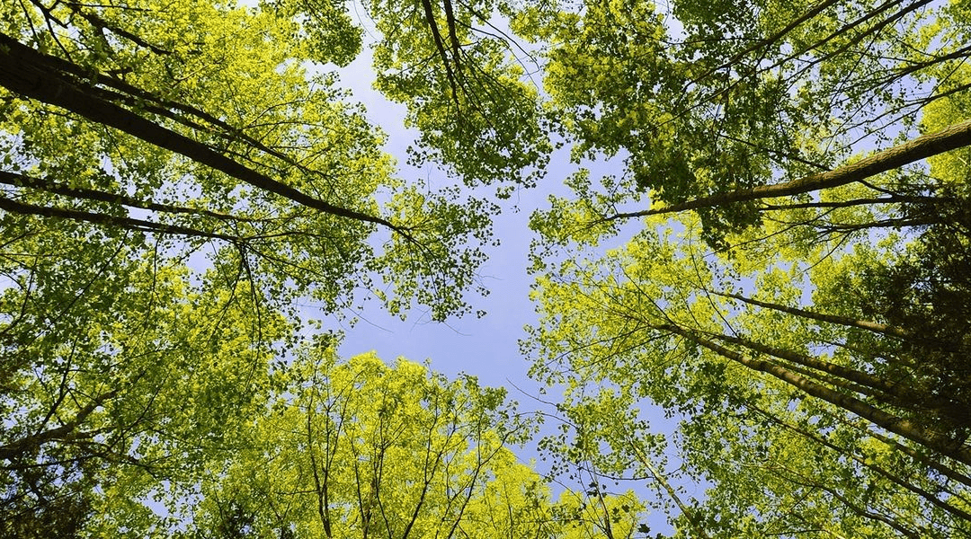 Journée Nationale de l&rsquo;environnement
